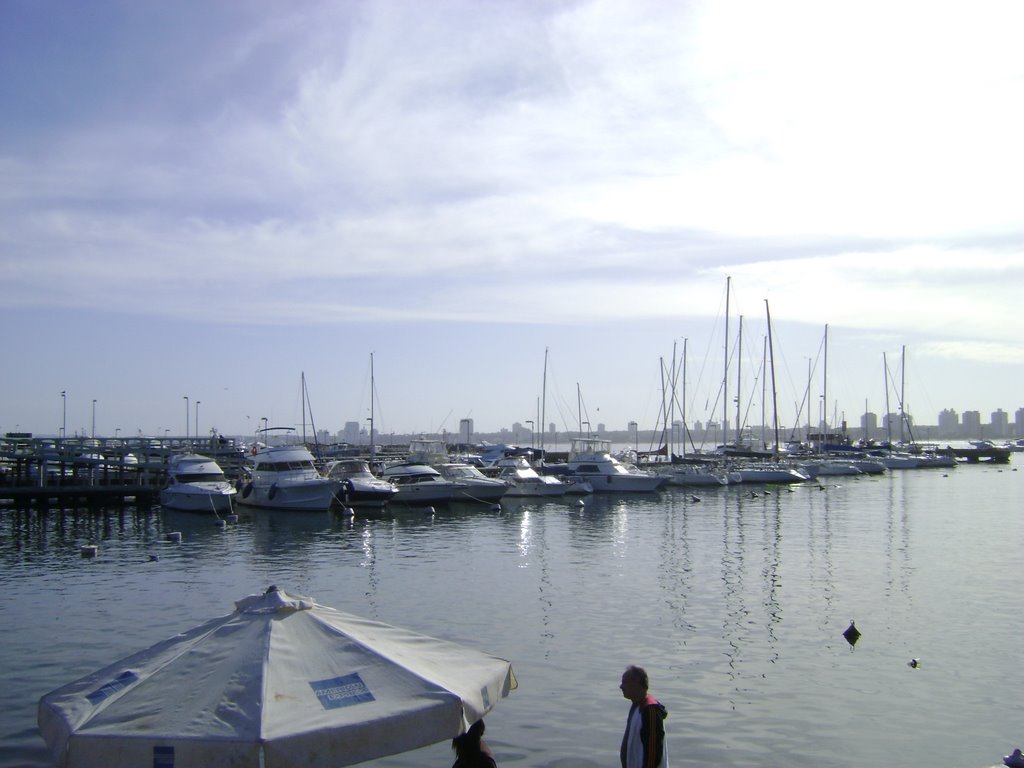 Porto de Punta del este by camilacgomes