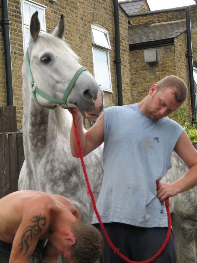 24hr callout emergency farriers at Robin Hood's Gate, Richmond Park, London, UK by David Wilson