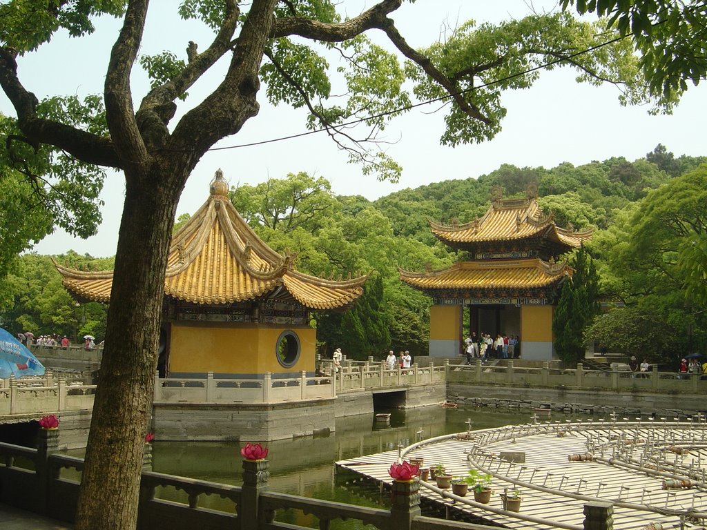 Putuo, Zhoushan, Zhejiang, China by YangCheng