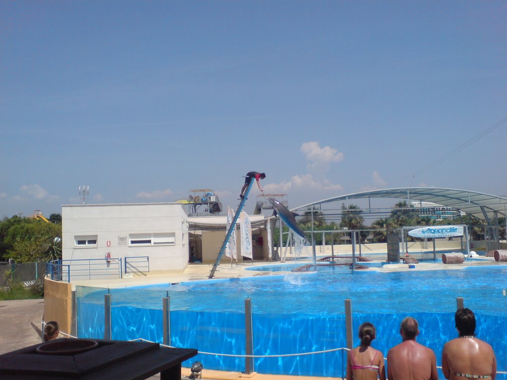 Dolphin Show, Aquopolis Water Park, Salou, Spain by gregormcmillan