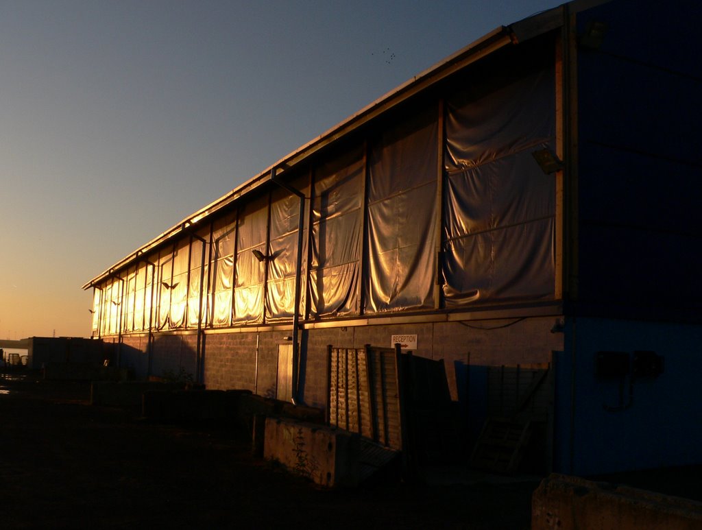 Cardiff Arena (The "Blue Shed") by Kelvin Sweet