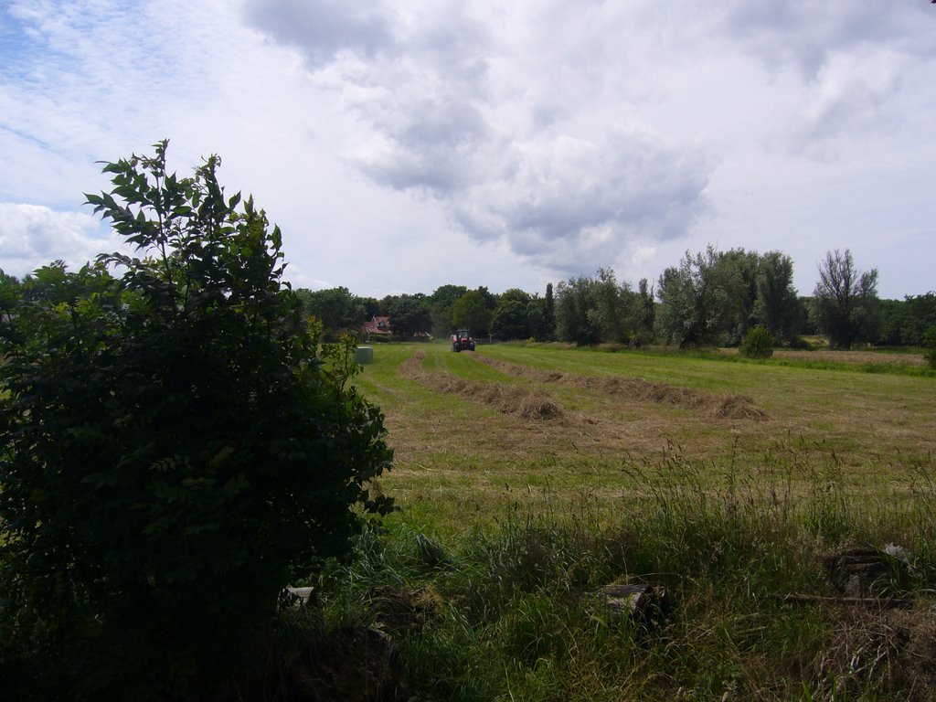 Poortugaal, Netherlands by chiel van waart