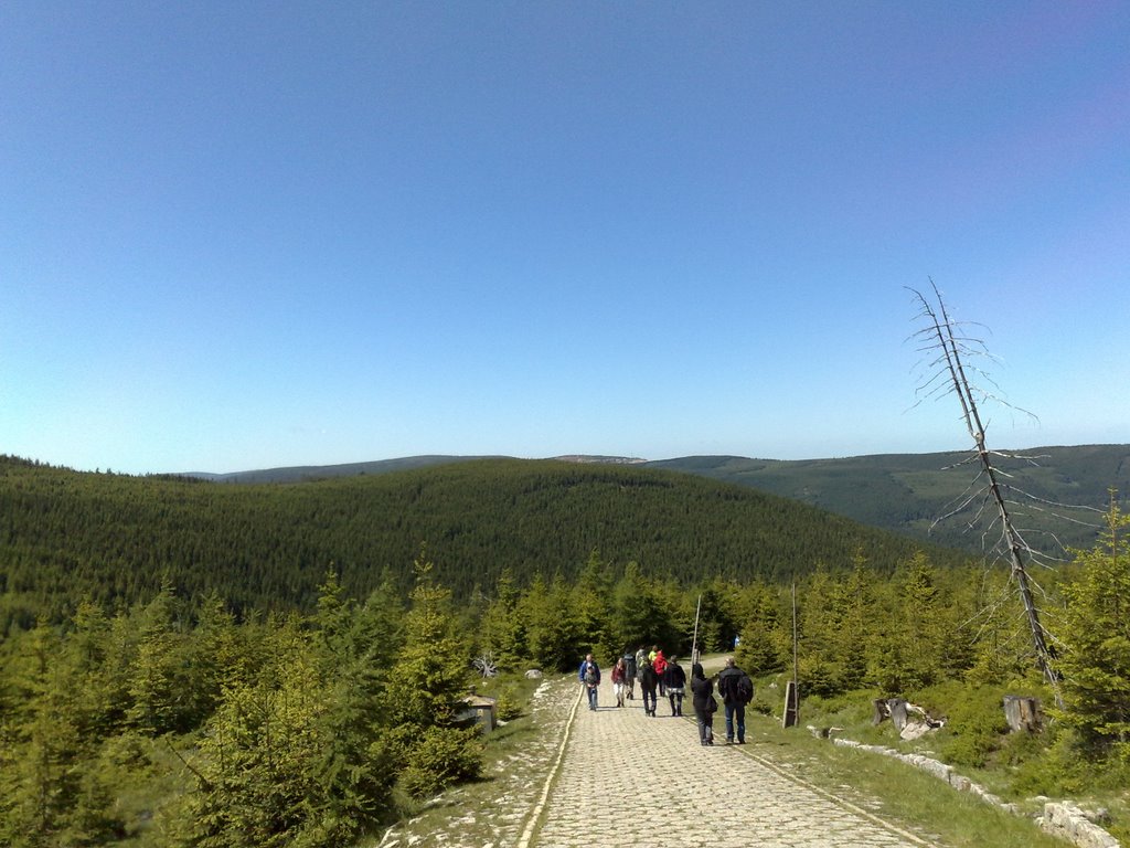 Panorama z podejścia na Szrenicę by izerus