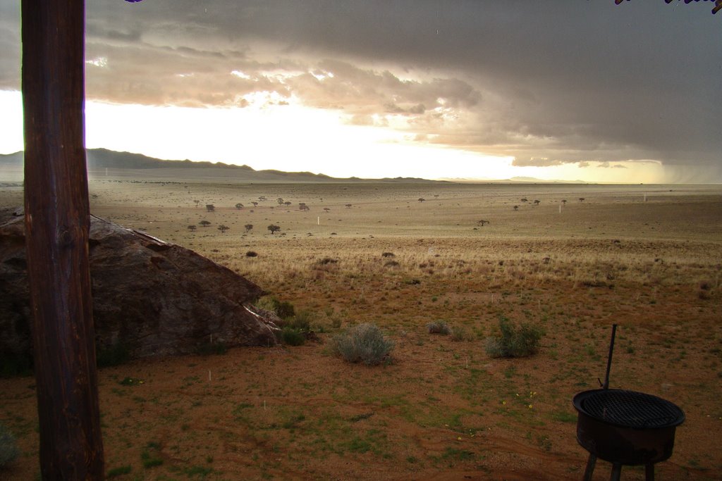 Rain in the Namib by baumeler.hp