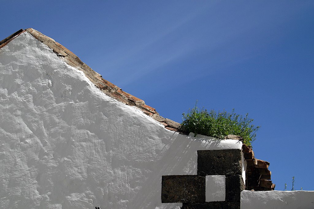 35260 Agüimes, Las Palmas, Spain by Tauro-Tom