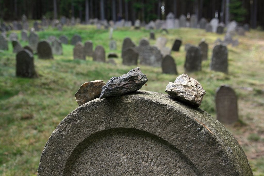 Jewish Cemetery by Vojta Srejber