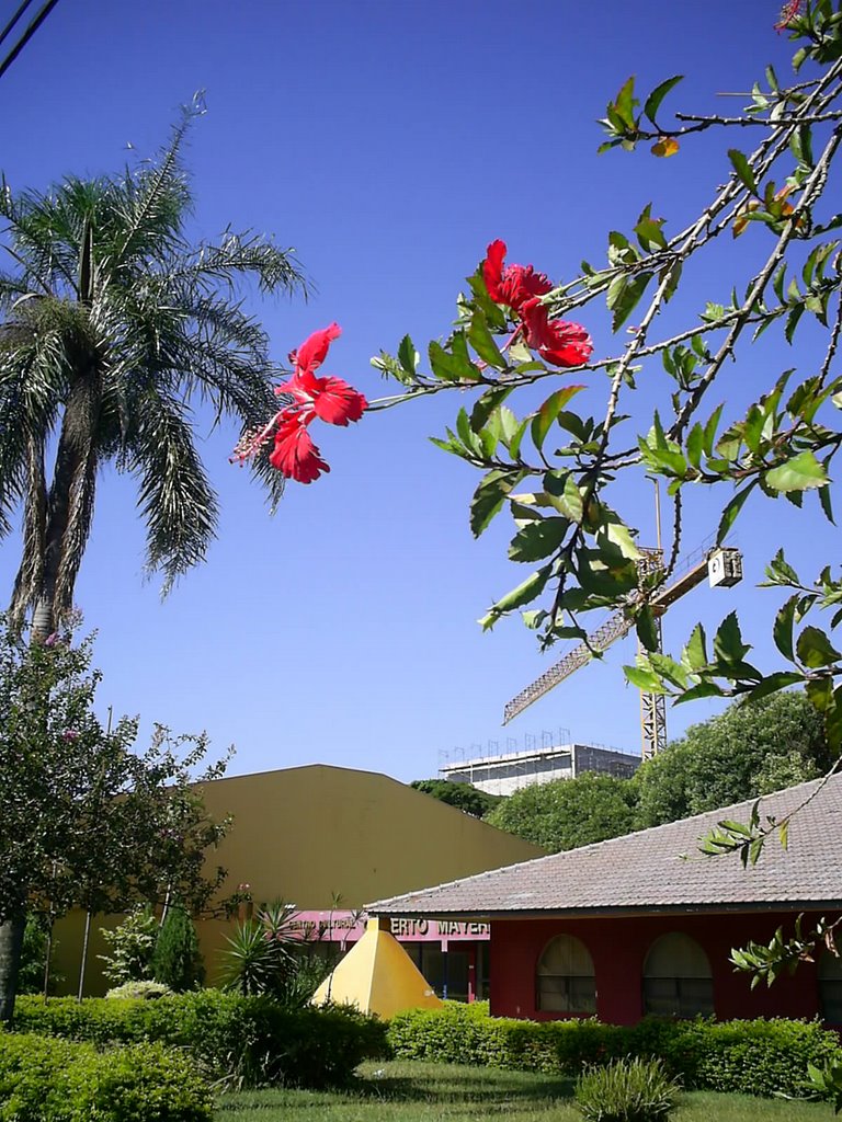 Centro Cultural Gilberto Mayer by leoninocvel