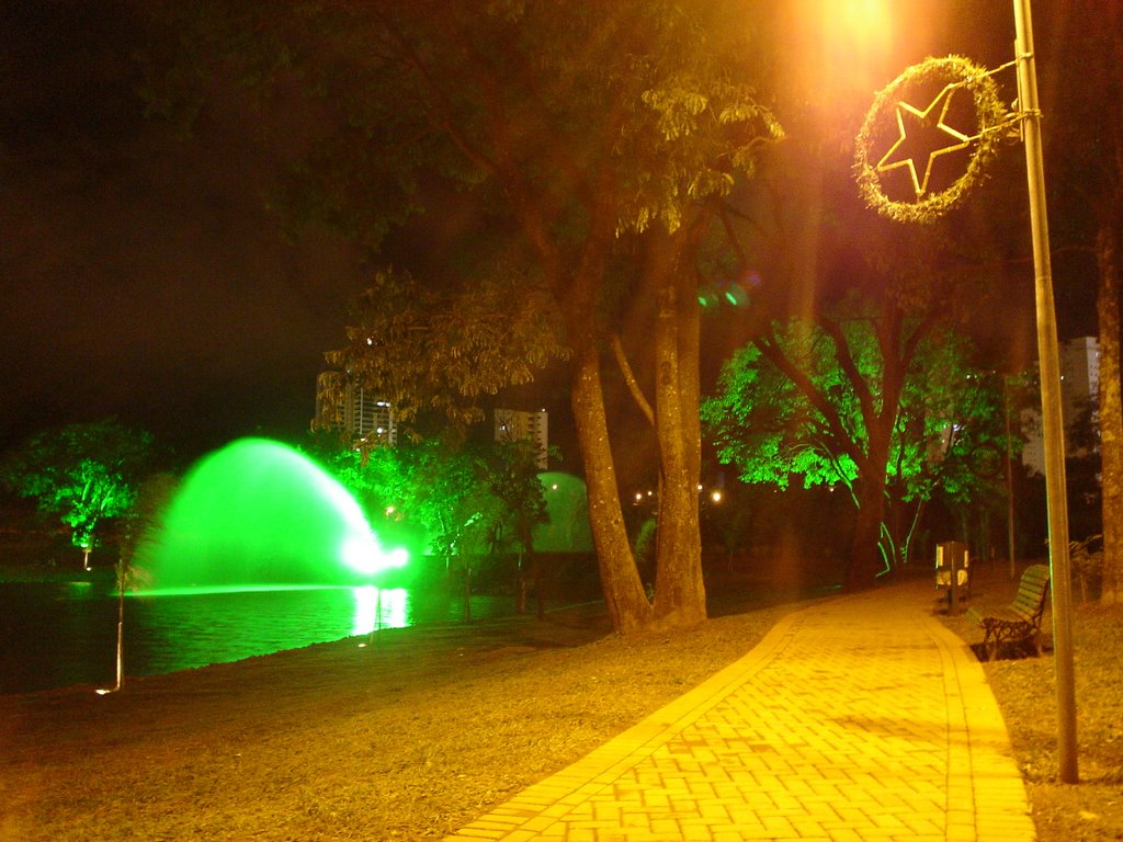 A noite no Parque Flamboyant by andreboaratti