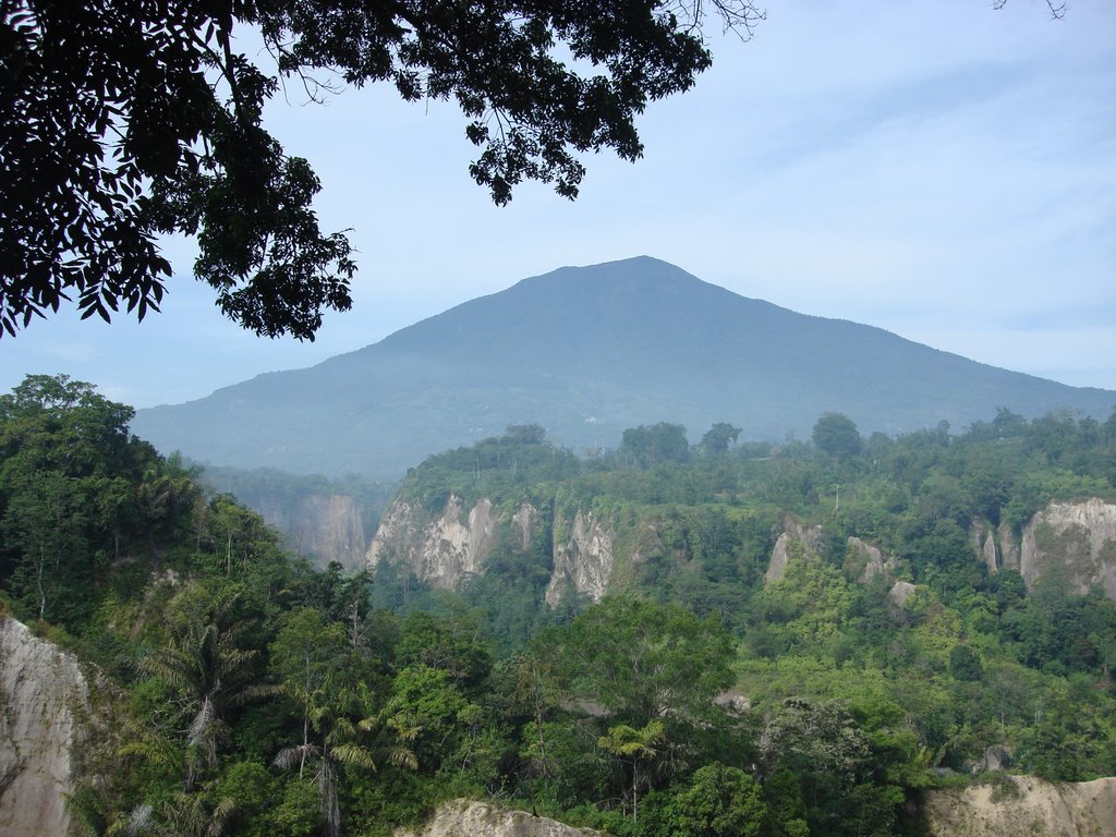 Landscape at Ngarai Sianok by Hermit S Parwoto