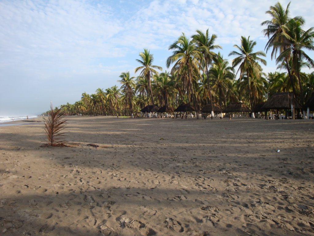 Playa Jardin by Alejandro Guzmán Robles