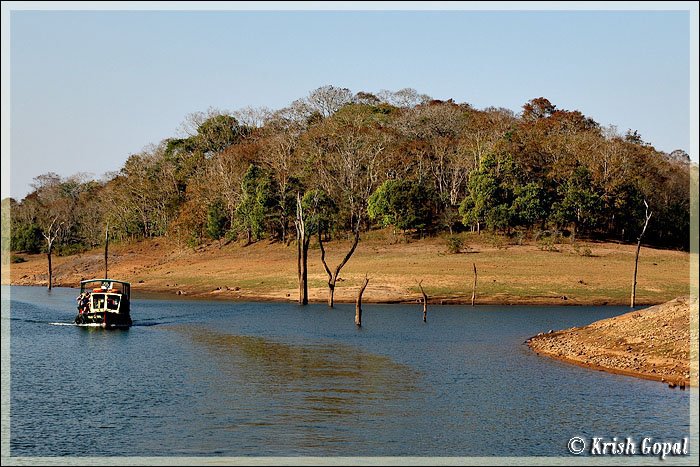 Thekkady by Krish Gopal