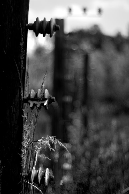 Plaszow concentration camp - scenography traces by spektralny