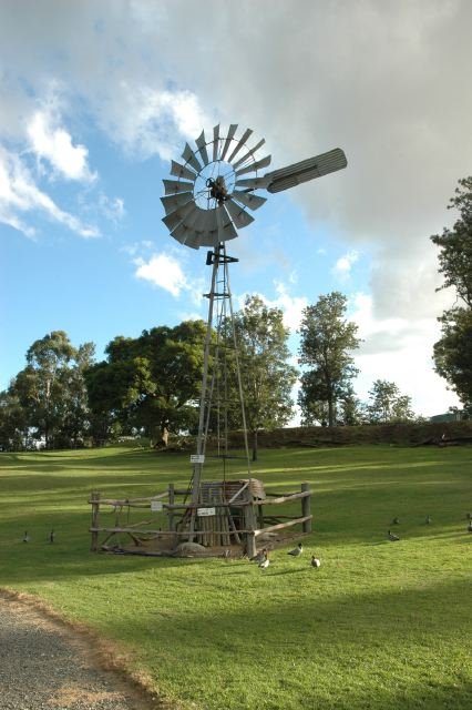 Brisbane Lone Pine Koala Sanctuary by Kirsten Stoik