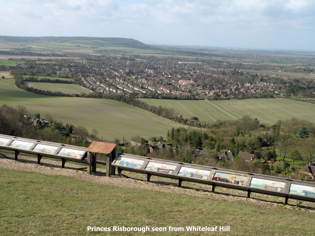 Princes Risborough seen from Whiteleaf Hill by Collin West