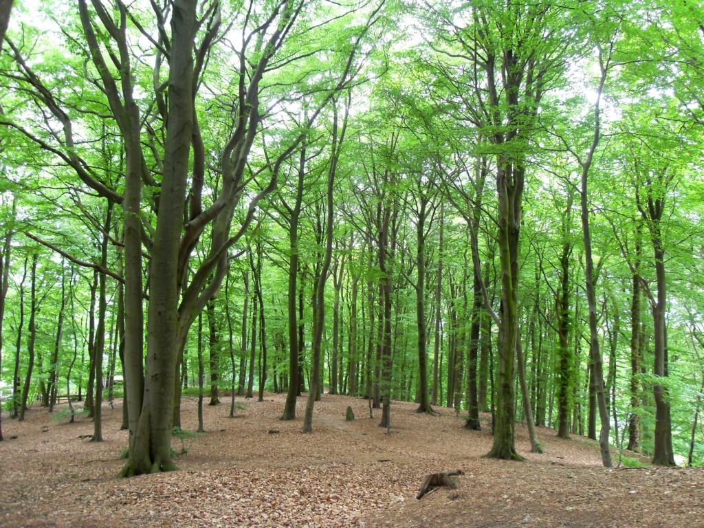 Boostedt, Germany by Sjard Seliger