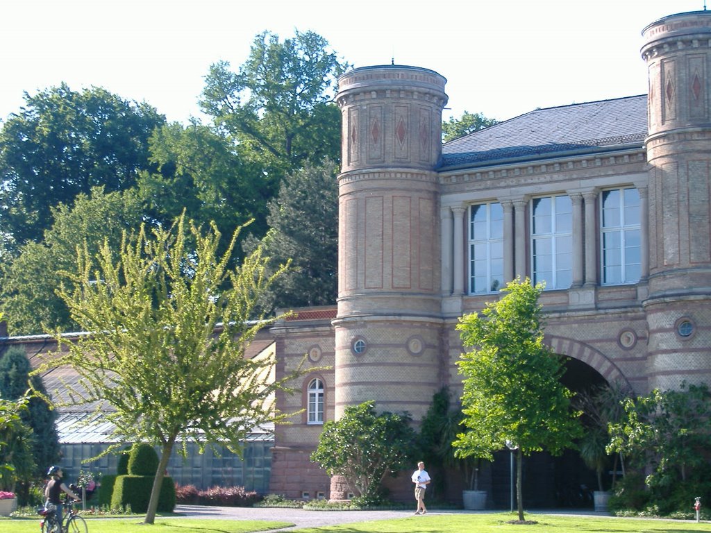 Botanischer Garten Karlsruher Schloss by Hans-Peter Mayer