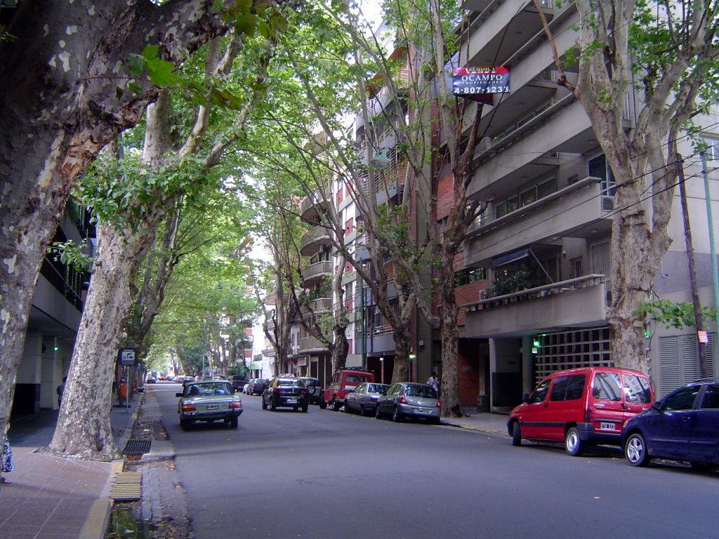 Buenos Aires, Palermo, Argentina by hans huber