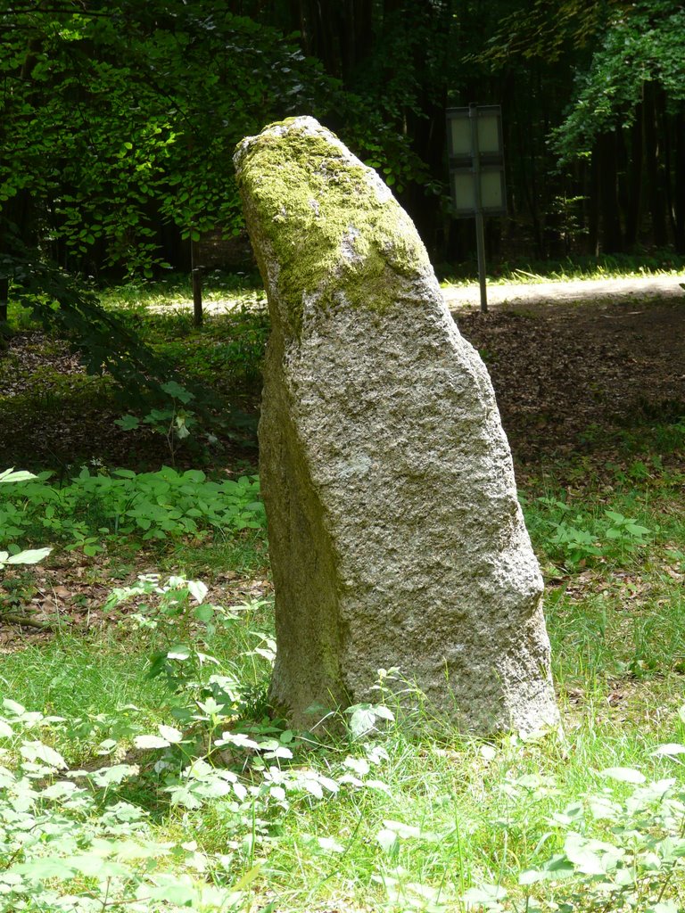 Germany_Mecklenburg_Stone Dance of Boitin_Circle 3_The biggest stone_P1080134.JPG by George Charleston