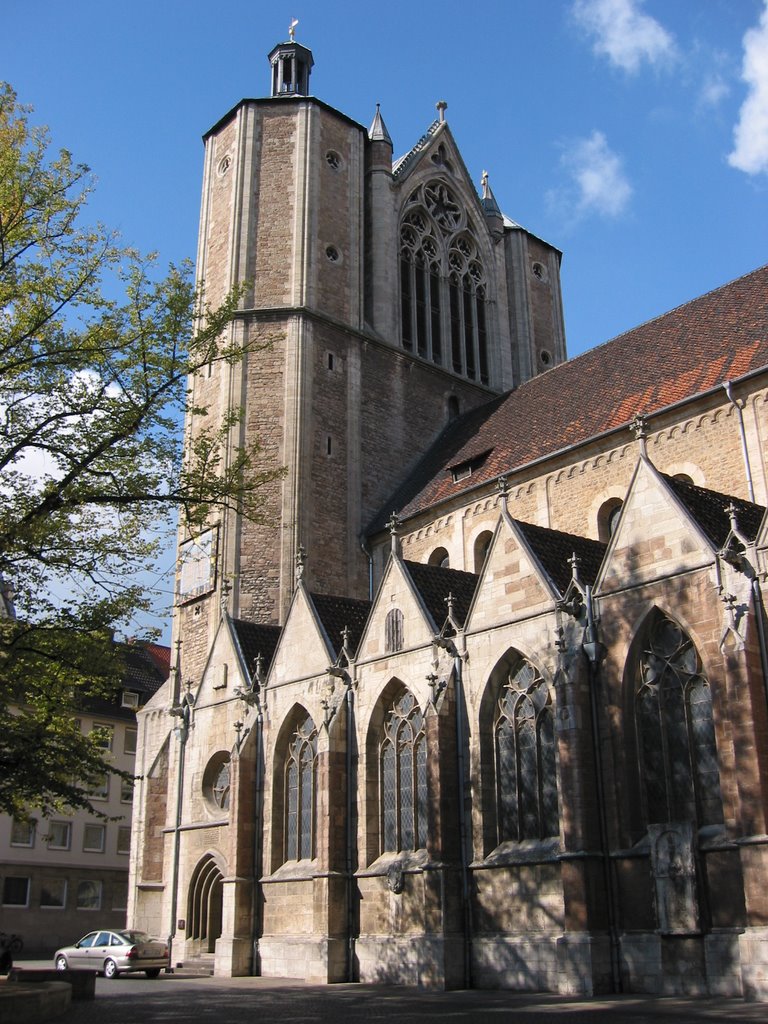 Braunschweig, Dom by F.Erler