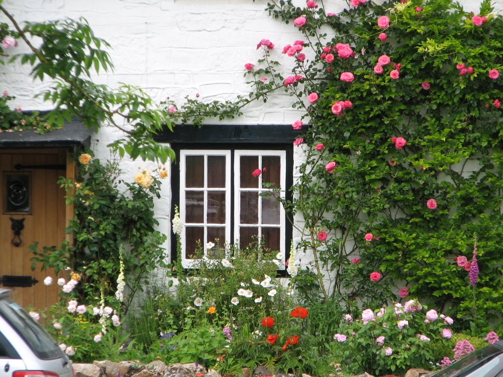 Cottage Garden by Phil Bunce