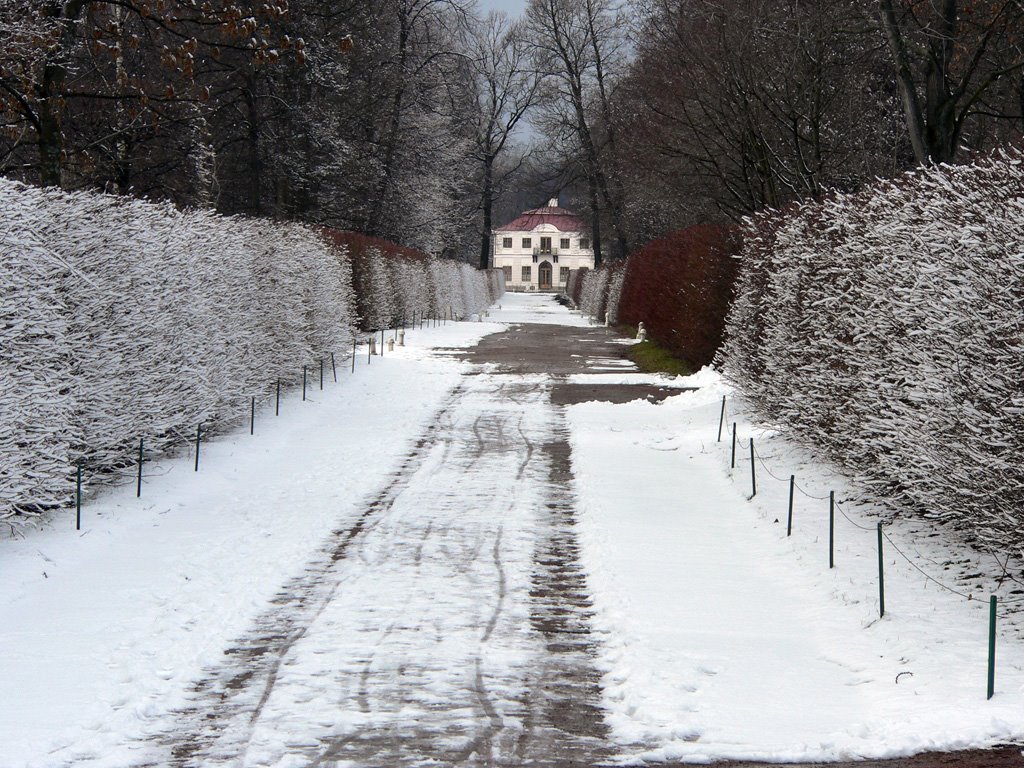 Марлинская аллея в Петродворце зимой. - The Marli alley at the Peterpalace on winter. by Eugene Pentya