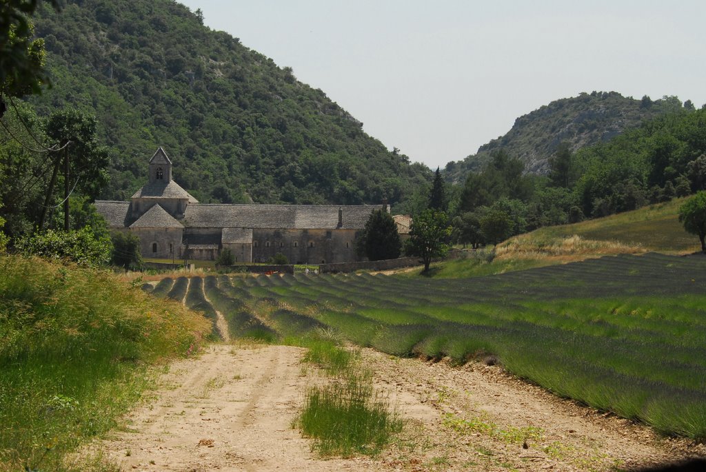 Abbaye de Senanque (Vaucluse) by Jean HIBLOT