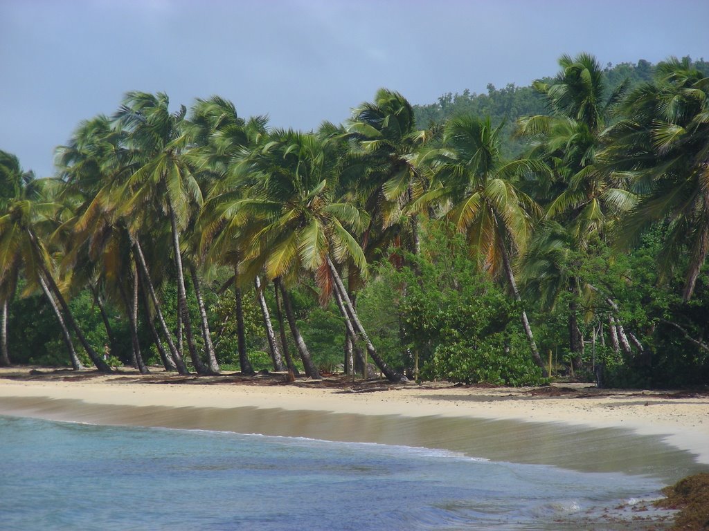 Grande Anse des Salines by karibeasun