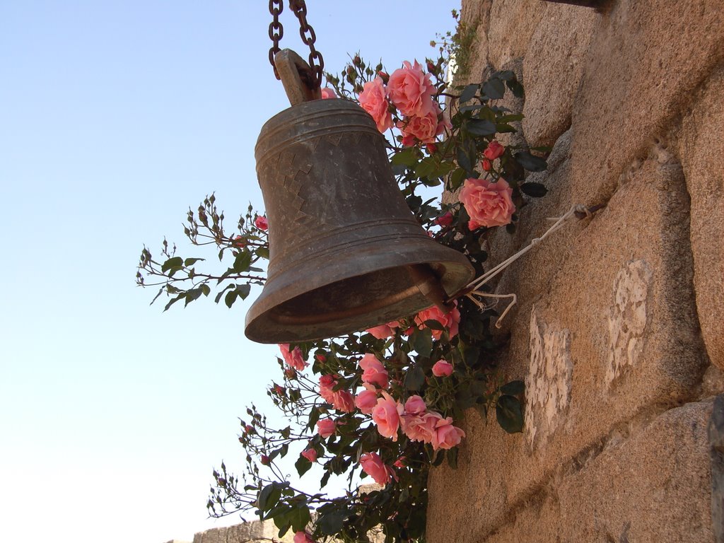 Campana de color de Rosa by Rubén_AM