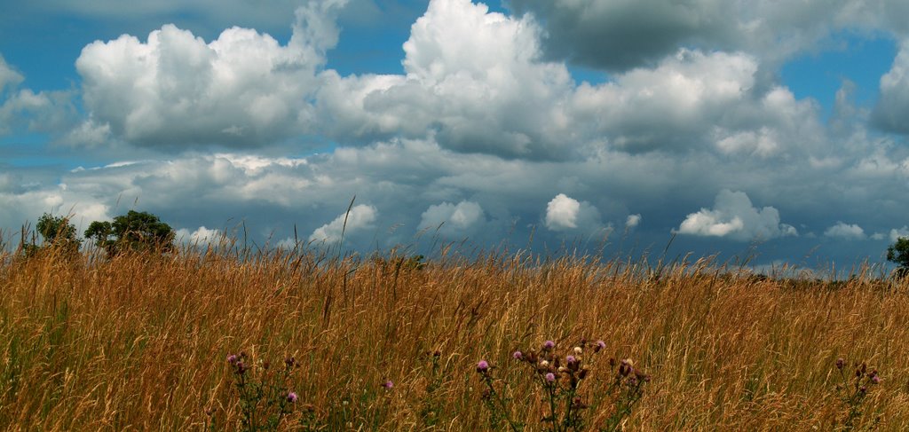 Kijkend vanaf westerschelde richting Den Inkel by petrasillen