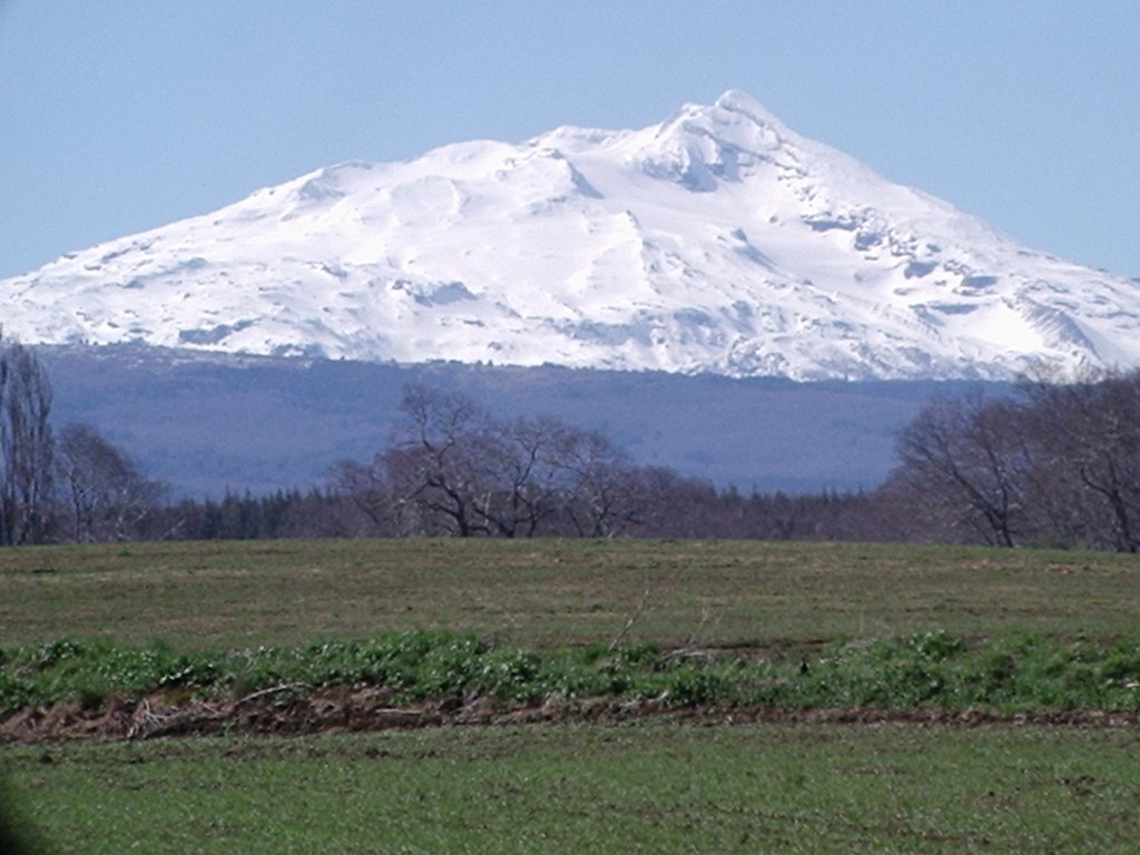 Vista del Volcán Tolhuaca desde Las Mariposas by rheise