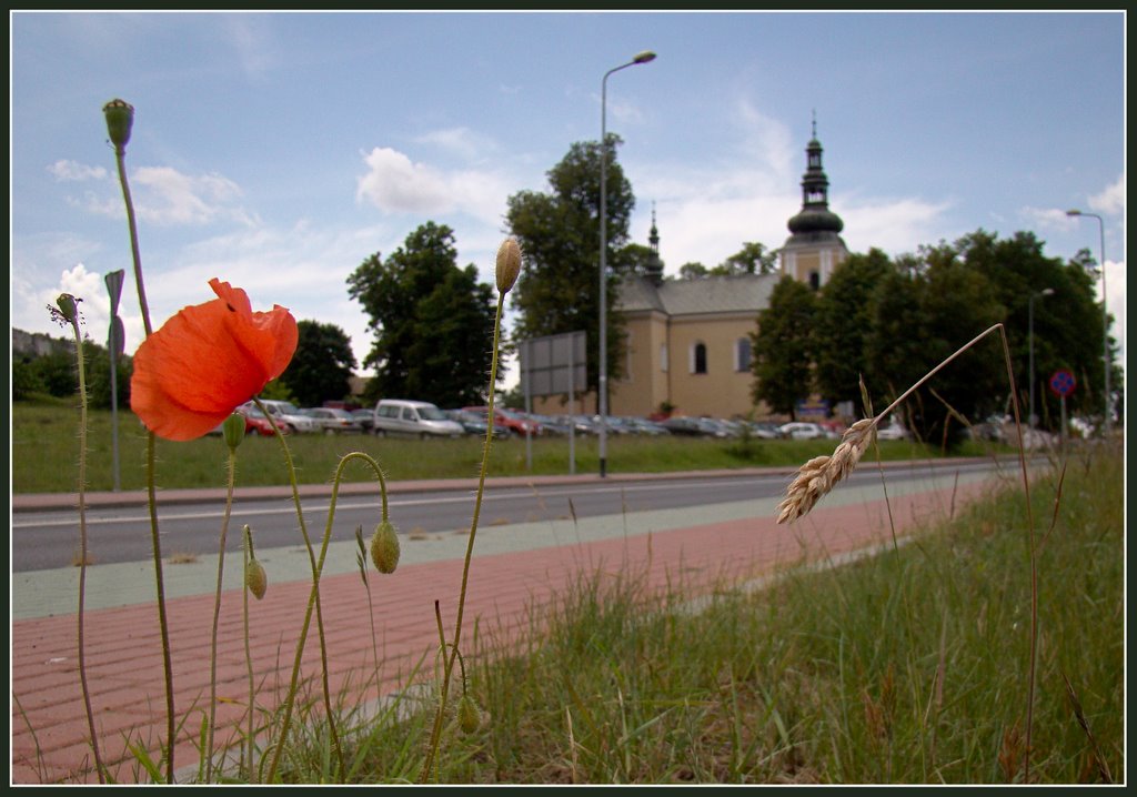 Kościół w Olsztynie - malby by malby