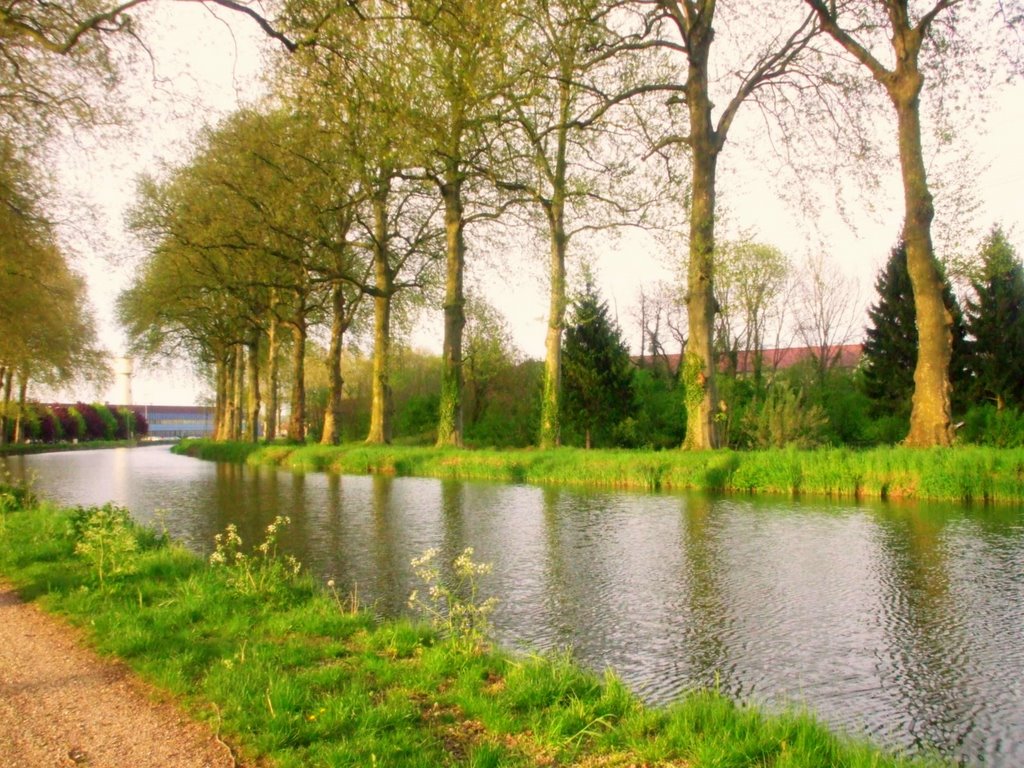 Bords de marne. Près de Saint-Dizier by Abou Mohamed