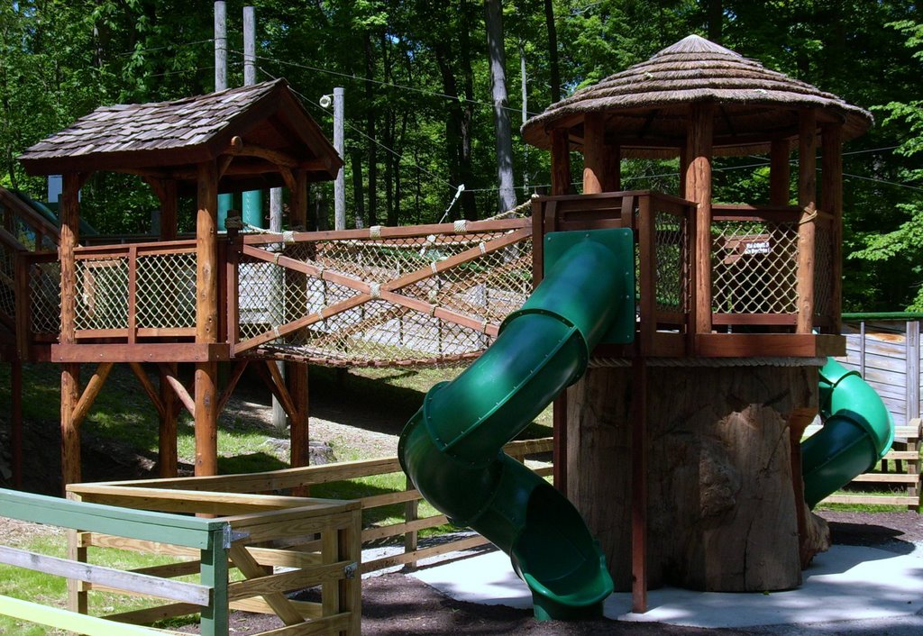 Tree Slide, Idlewild Park by jeffmart