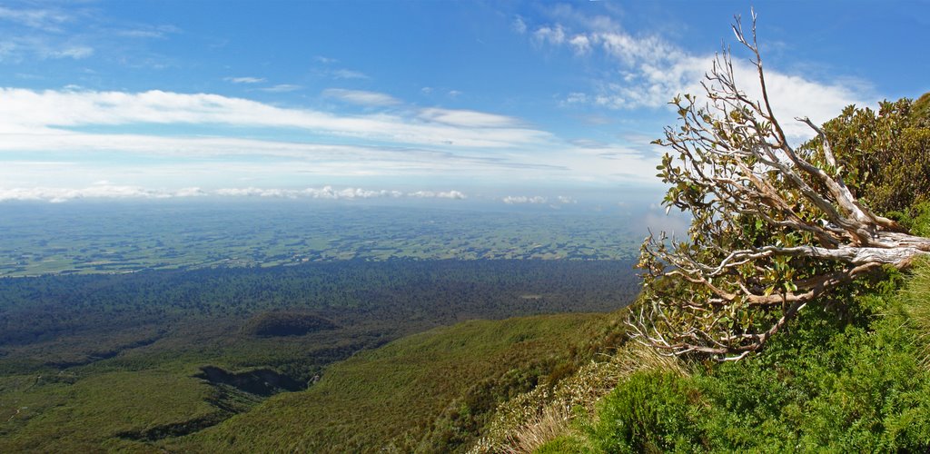 Looking South from the lower slopes of MT Taranaki by Perry Anderson