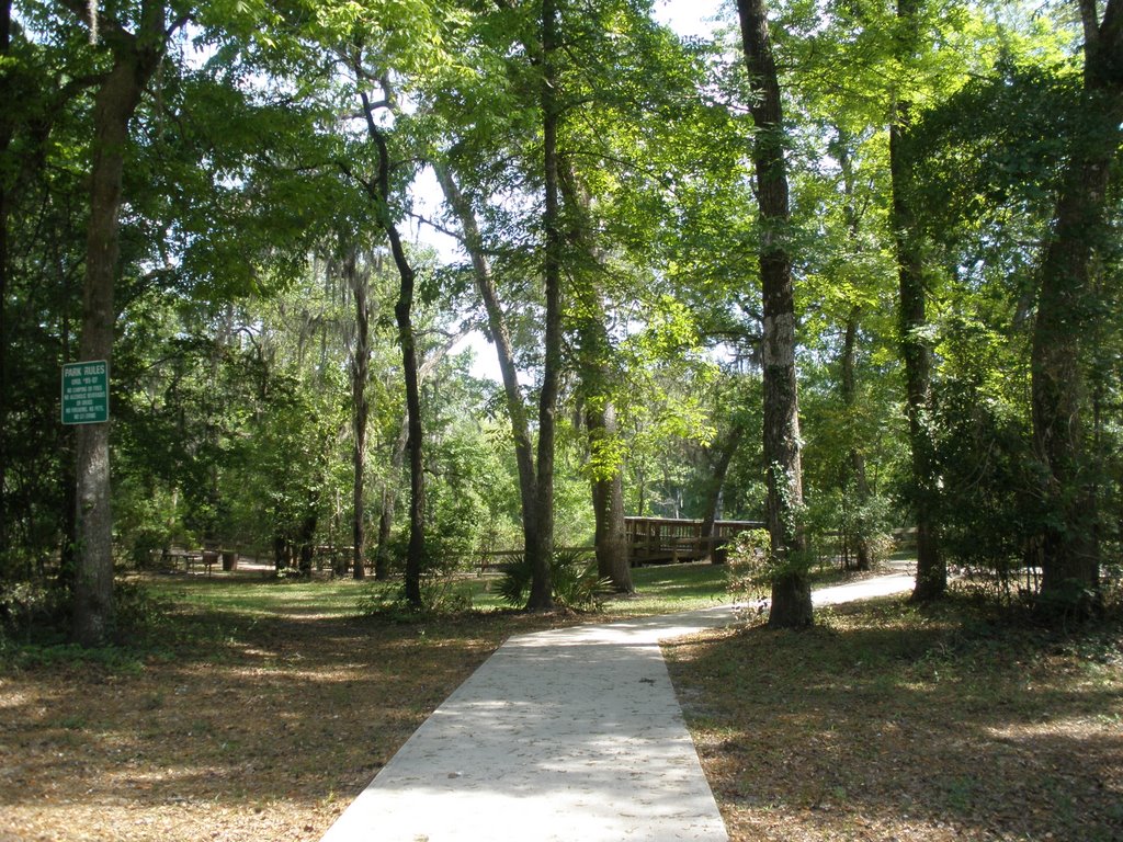 Inside the park. by Frank A MAYEDO