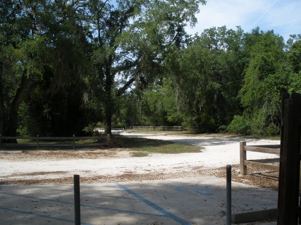 Suwannee River Park. by Frank A MAYEDO