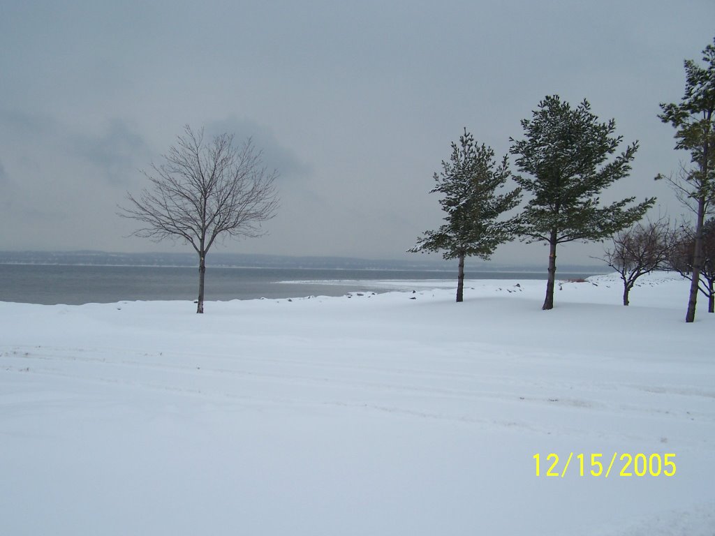 Lake Charleviox - Boyne City, Michigan by SMWortman