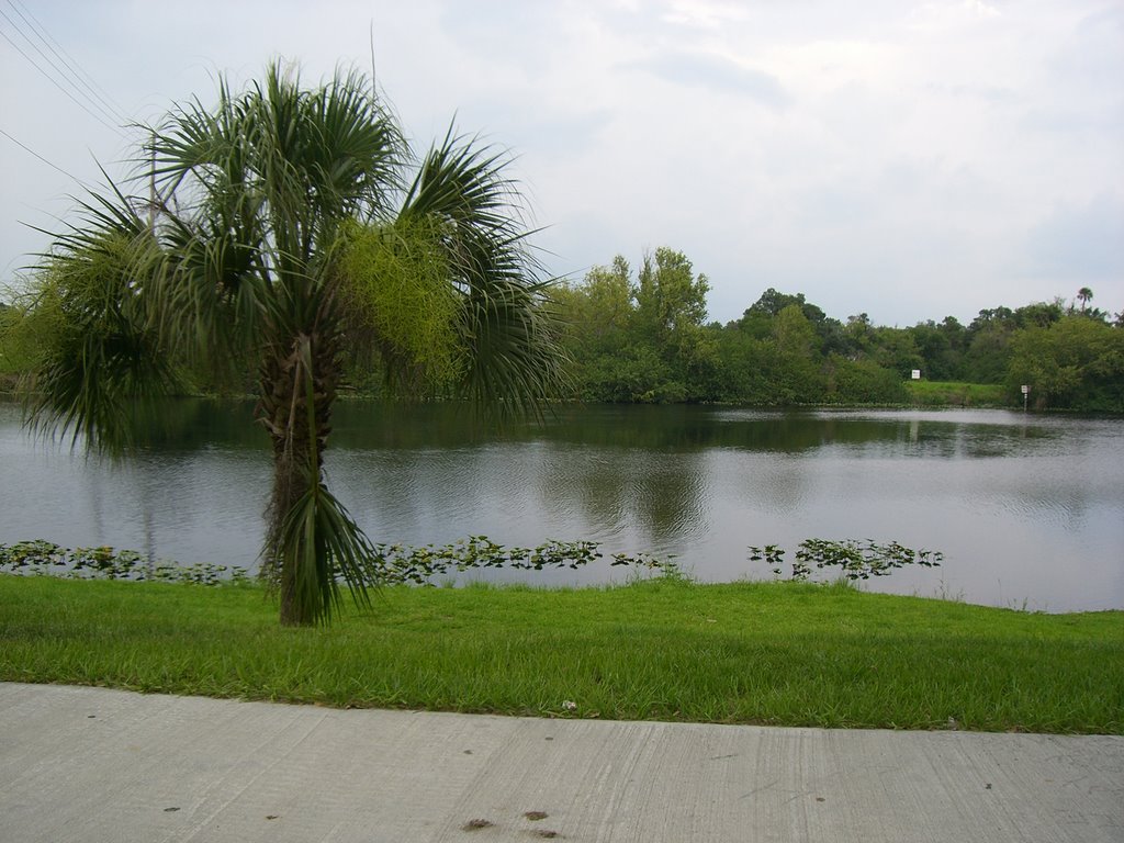 Caloosahatchee River by bahknee