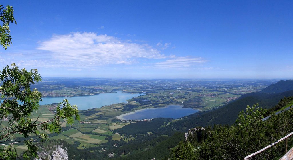 Schöne Aussicht zu Forggen- & Bannwaldsee. by Ronny aus Lechbruck