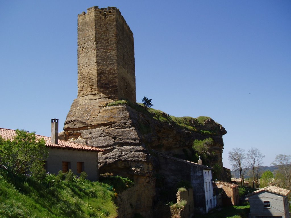 Castillo de Luesia antes de su excavación by fidesetdevotio