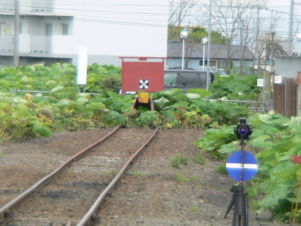 根室駅 日本最東端の車止め →ブログ by noo_tenki