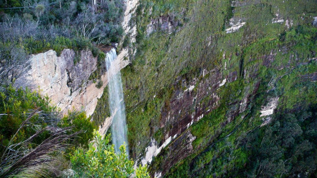 Bridal Veil from Barrow's Lookout by CraigWS