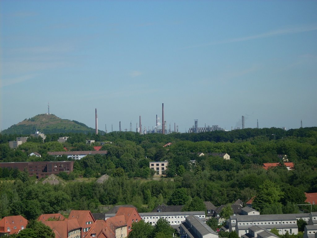 Gelsenkirchen-Buer (ehem. Zeche Hugo 2/5/8 Schacht 2 /Gelsenkirchen-Scholven Halde Oberscholven / Ruhr Oel GmbH ) Juni 2009 by DortmundWestfalica