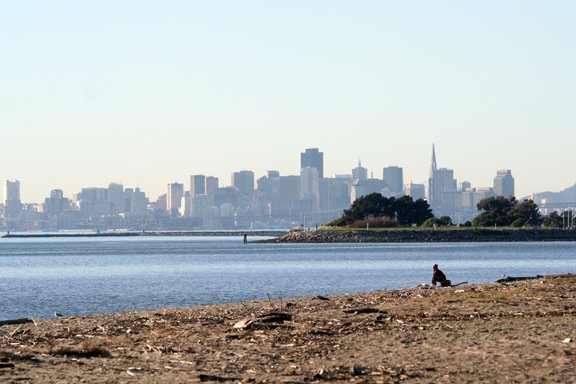 SF viewed from Alameda by Max Airborne