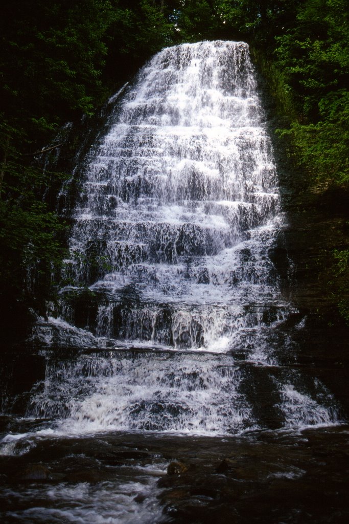 First Falls, Grimes Glen, Ontario Co., NY by Scott A. Ensminger