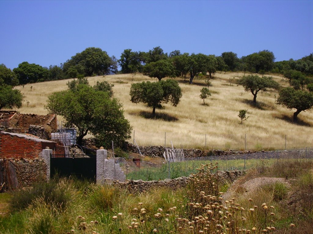 Anchuras, Ciudad Real, Spain by percebal