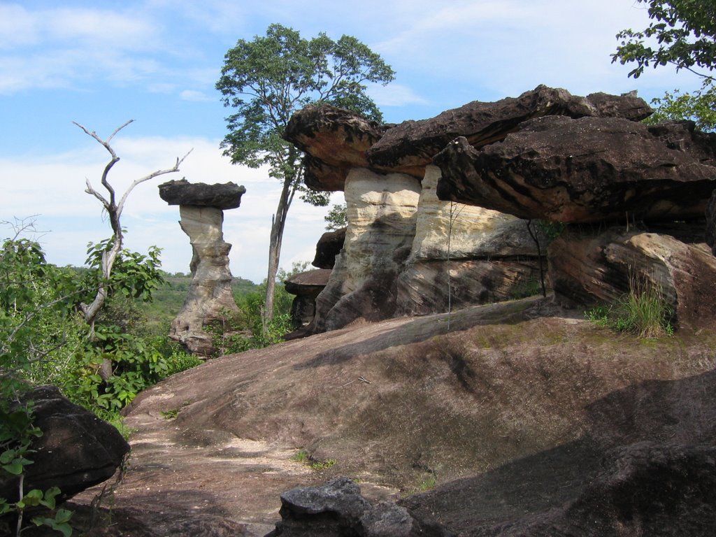 Sao Chaliang rock formation, Ubon Ratchathani, Thailand by Luc Valencia