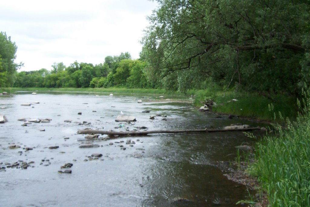 Parc Martineau, berges de la rivière Châteauguay by Dede Jr