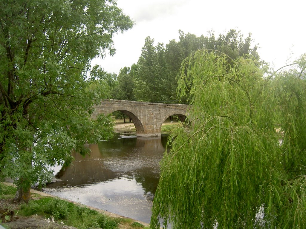 Puente romano de Navaluenga. (Estepa 32) by Estepa32