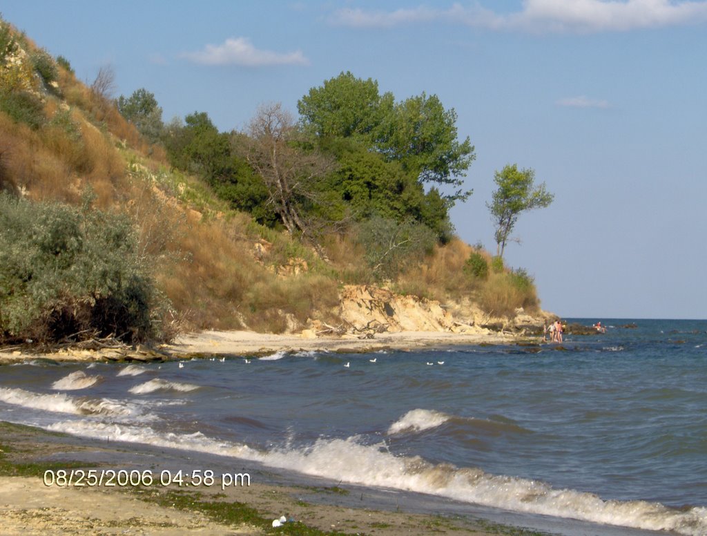 Около устието на Камчия / Around Mouth of Kamchia River by Godo Nikolov